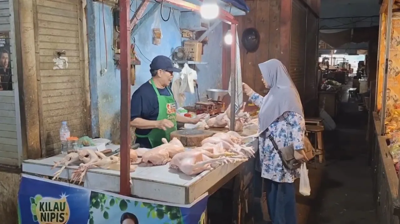 Harga Daging Ayam di Jember Turun Drastis