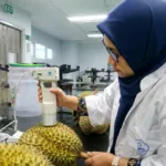 Mahasiswa S3 UNEJ Lulus Doktor Tanpa Sidang Terbuka Berkat Riset AI Pendeteksi Kematangan Durian