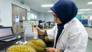 Mahasiswa S3 UNEJ Lulus Doktor Tanpa Sidang Terbuka Berkat Riset AI Pendeteksi Kematangan Durian