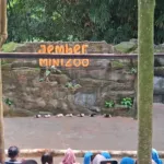 Libur Sekolah Jember Mini Zoo Diserbu Ribuan Pengunjung Lintas Daerah