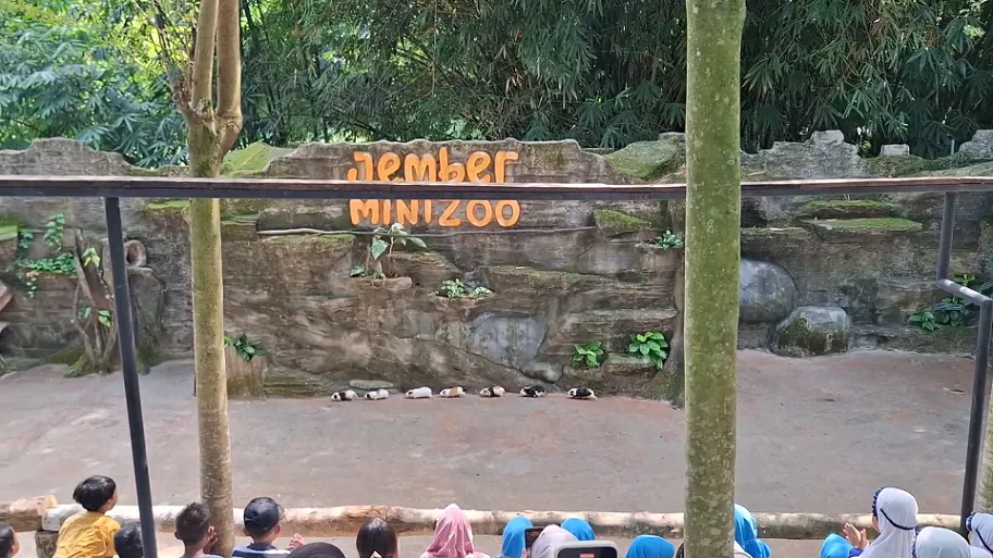 Libur Sekolah Jember Mini Zoo Diserbu Ribuan Pengunjung Lintas Daerah