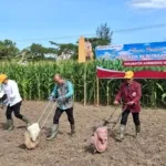 Pemkab Jember dan UKRI Luncurkan Inkubator Agribisnis