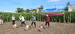Pemkab Jember dan UKRI Luncurkan Inkubator Agribisnis