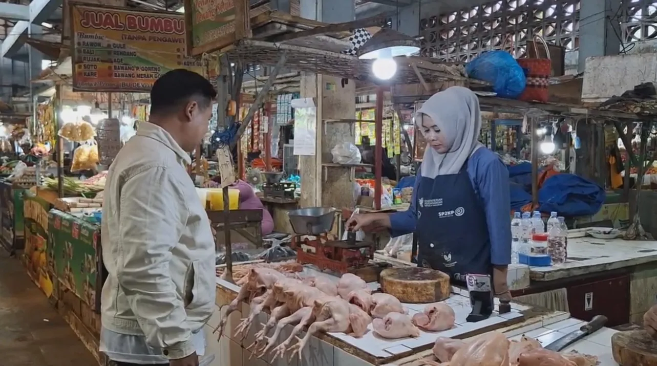 Program MBG Berjalan Harga Ayam Jember Melonjak