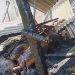 Kebakaran Kandang di Wuluhan Jember, Belasan Kambing Mati