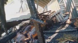 Kebakaran Kandang di Wuluhan Jember, Belasan Kambing Mati