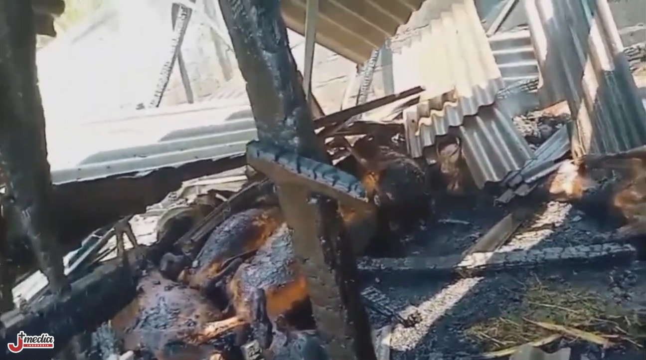 Kebakaran Kandang di Wuluhan Jember, Belasan Kambing Mati